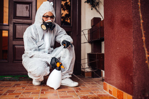 Attic and Crawl Space Rodent Treatment in Arnold